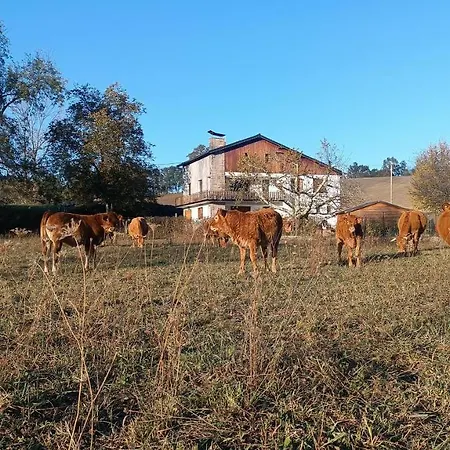 Le Jardin De Moulis, Et Table D'hotes, Saint Girons, Ariege, Pyrenees, ベッド・アンド・ブレックファスト