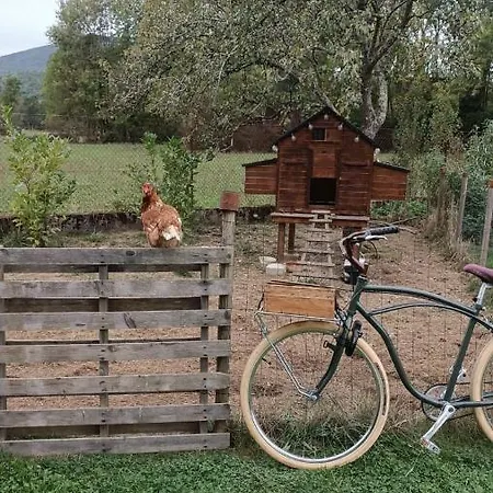 ベッド・アンド・ブレックファスト Le Jardin De Moulis, Et Table D'hotes, Saint Girons, Ariege, Pyrenees, 3*