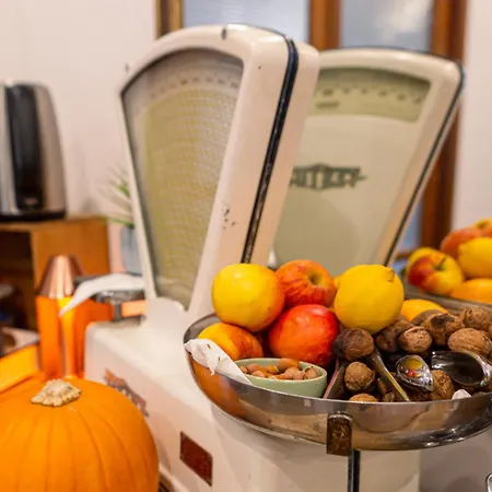 Le Jardin De Moulis, Et Table D'hotes, Saint Girons, Ariege, Pyrenees, Moulis